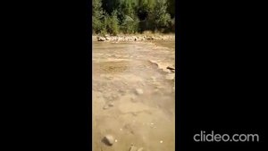 Отдых на реке Дах