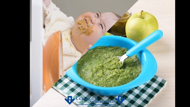 ? Как вводить прикорм - рекомендации по первому прикорму, родители будут в шоке