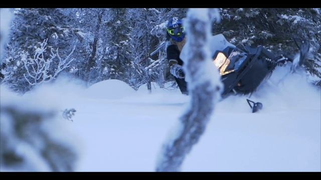 VK PROFESSIONAL II EPS / RS Viking - A TRUE VIKING смотреть онлайн