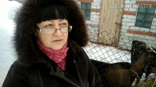 Нужен ли доильный аппарат , моё мнение. смотреть онлайн