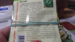 топ 10 засолочных сортов огурцов