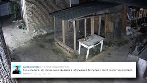 ЭТО ПРАВДА? Летающие стержни. Прощание с сенсацией