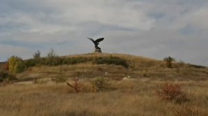 24 09 21 Степной орел