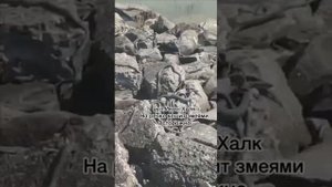 Кишат змеи , КЧР, а.Икон-Халк