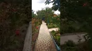 дача ст. Васюринская продажа