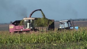 Уборка кукурузы на силос ПОЛЕСЬЕ 600.