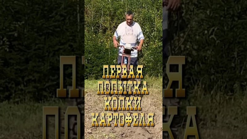 Первая попытка копки картофеля