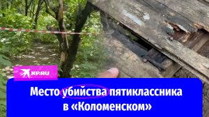 Как выглядит место в парке «Коломенское», где подросток зарезал пятиклассника