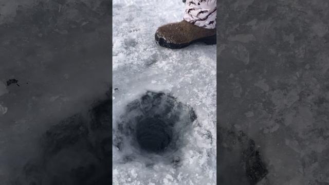 Омуль подошёл. Разведка на омуля прошла удачно. Озеро. Байкал. Часть 7. Бурятия.