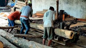 Kayu bolong hasil rampasan dari tangan pencuri kayu perhutani ternyata ada isinya