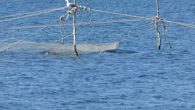 Россия , Чёрное море , Ольгинка , Новомихайловка, осень 2019..mp4 смотреть онлайн