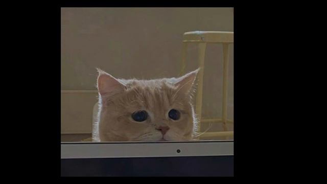 Возвращение. Куда же я пропадал? смотреть онлайн