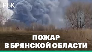 В МЧС сообщили о пожаре на птицеферме в Уручье в Брянской области
