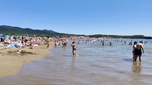Приморский край.Бухта Лазурная. Шамора.