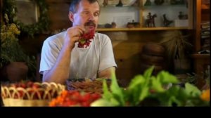 Полезные свойства калины