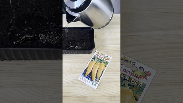 Секрет посева жгучего перца