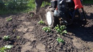 Окучивание картофеля мотоблоком. Доработка окучника Мобил К ОН 2/2.