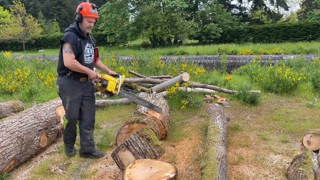 Chainsaw tips , How to Buck Logs on the Ground смотреть онлайн
