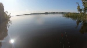Ловля леща. Рыбалка на Вятке.