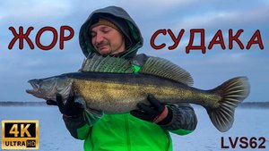 ПОПАЛ НА ЖОР СУДАКА! Ловля крупных судаков