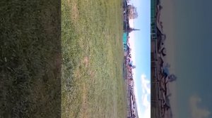 Бурятская Барьба дети Сальников vs Копылов