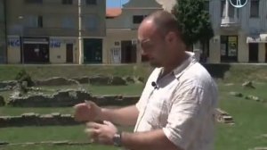 Планета собак Сербская защитная собака