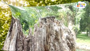 Поиграем? Часть 2