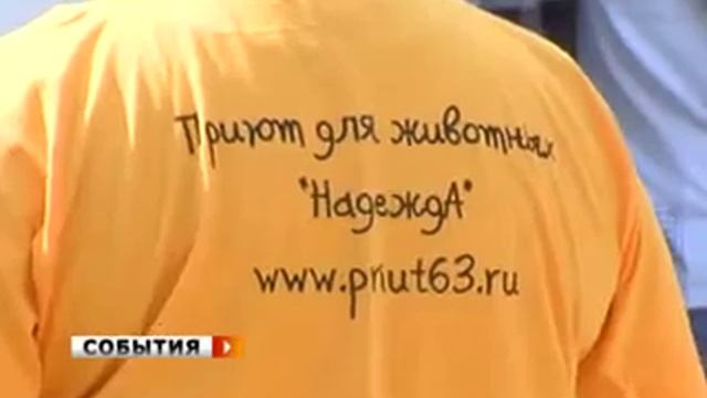 День защиты бездомных животных, август 2012 смотреть онлайн