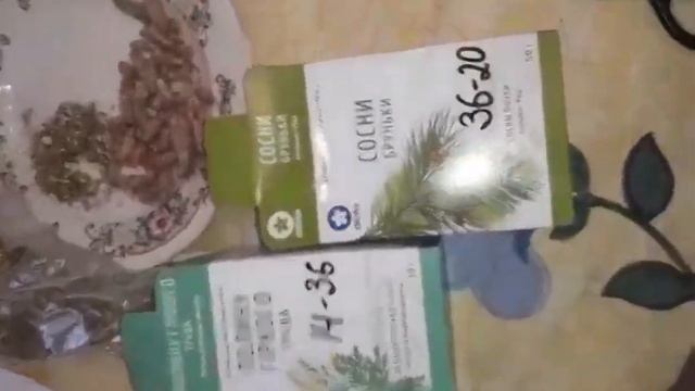 КАС- 81: покупаем сырье в аптеке. Цены, рецепт приготовления смотреть онлайн