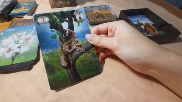 Какие карты в ЛЕНОРМАН ЕЩЁ показывают людей, личностей, персоны. смотреть онлайн