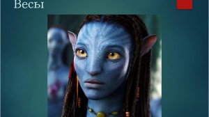 Сильные и слабые стороны ВЕСОВ