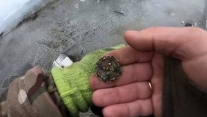 Такое ВИЖУ ВПЕРВЫЕ! НАШЕЛ ПОД ВОДОЙ ЗАГАДОЧНУЮ НАХОДКУ- водный коп 2020