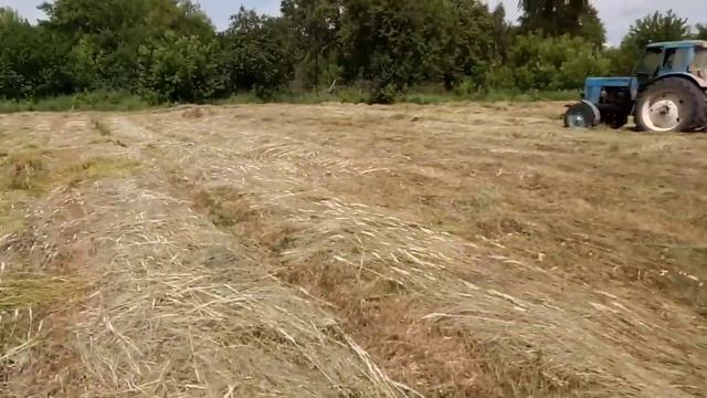 Обзор граблей! смотреть онлайн