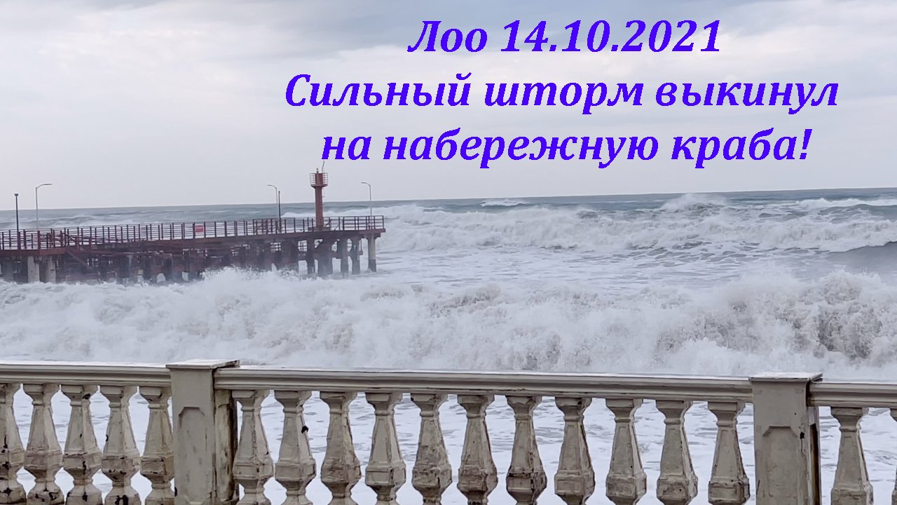 Погода лоо краснодарский край на 10 дней. Шторм в Лоо. Шторм в Монако на набережной.