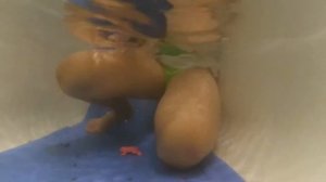 Арбизы и фигурки животных