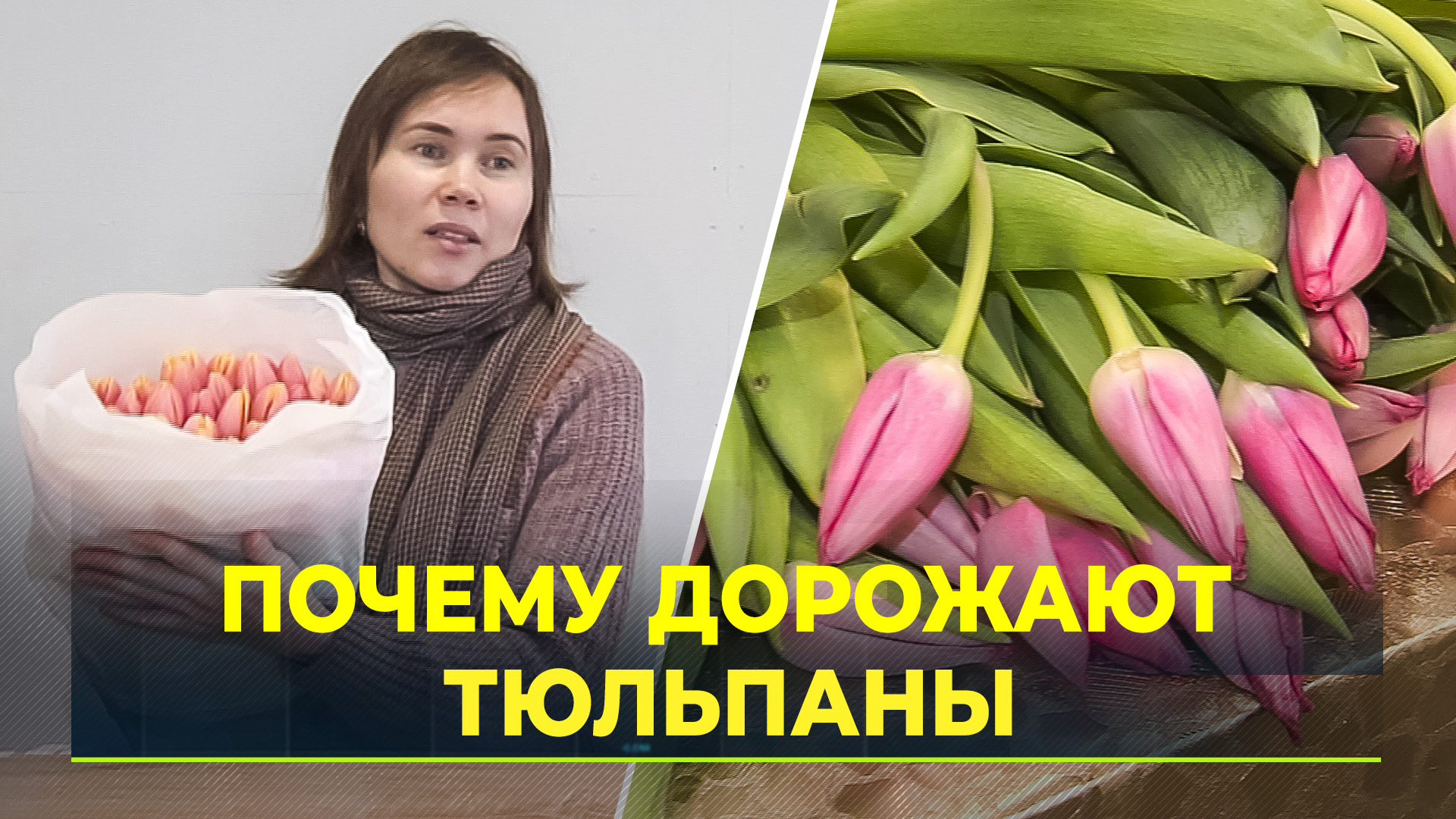 Иглинские Тюльпаны Где В Уфе Купить Недорого