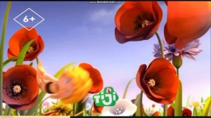 Переход формата TIJI с 16:9 на 4:3 во время старых мультиков