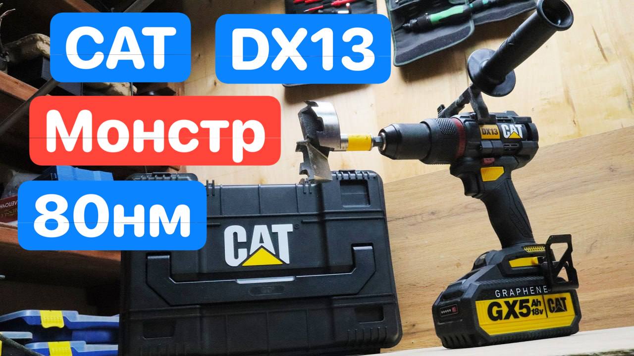 Cat dx13