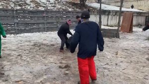 Как научить собаку защите,охране? Собака как оружие!