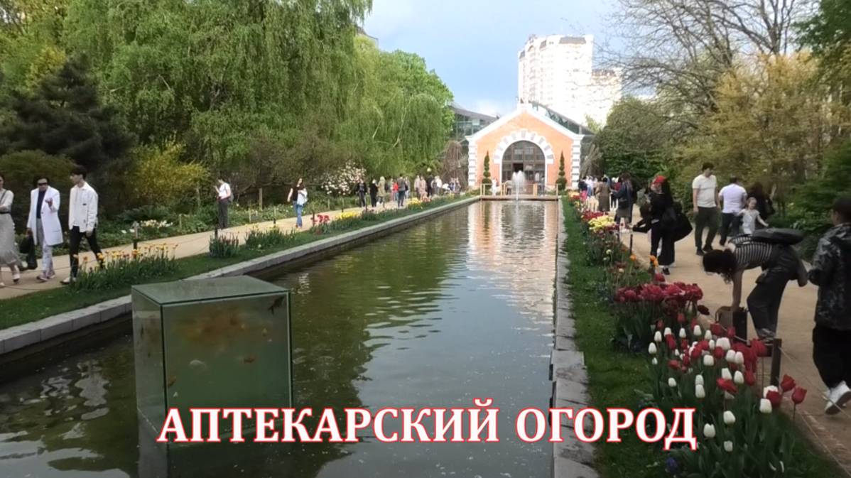 Аптекарский огород