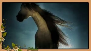 Ingrid Kup I will not die