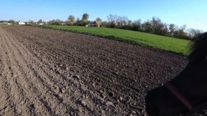 Картофель Посадка картофеля под лошадь Сельская Жизнь