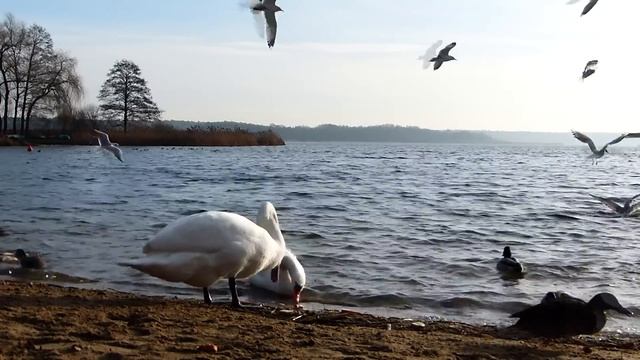 24 мая народный праздник Мокеев день. Народные запреты, приметы, традиции и обряды. смотреть онлайн