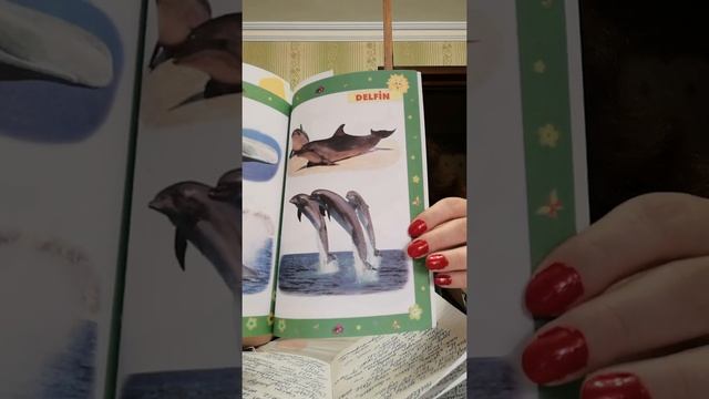Моё любимое животное дельфин смотреть онлайн