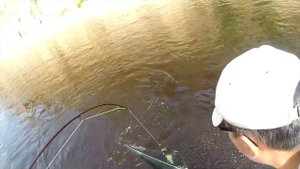 ЛОВЛЯ ЛЕНКА НА ГОРНОЙ РЕКЕ В ЯКУТИИ. БУОТАМА.