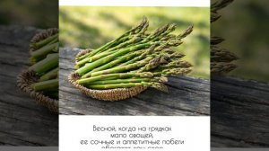 СПАРЖА. КРАСОТА И ПОЛЬЗА