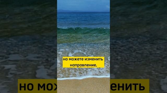 Нерешительность (отрывок  из книги Джима Рона «Витамины для ума»)