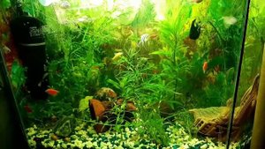 Угловой аквариум