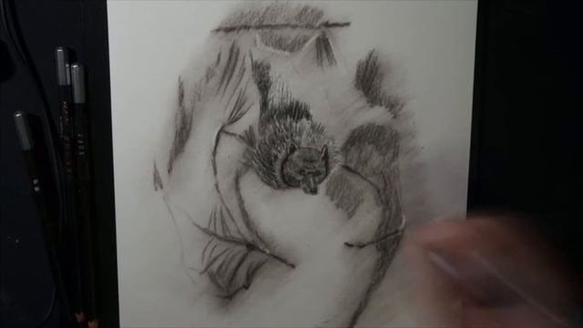 Как нарисовать Летучую мышь углем просто. смотреть онлайн