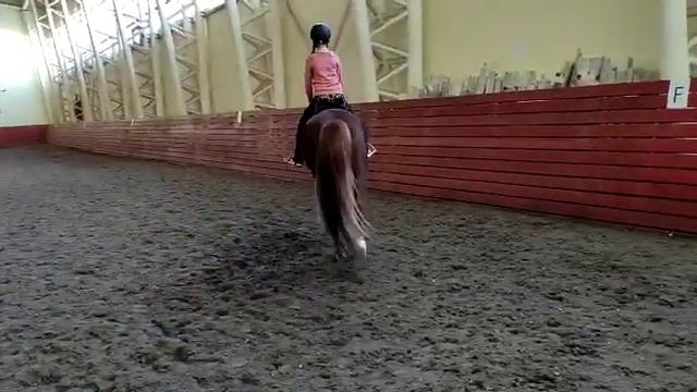 моя самая первая рысь (так называется тип бега) на Щелкунчике смотреть онлайн